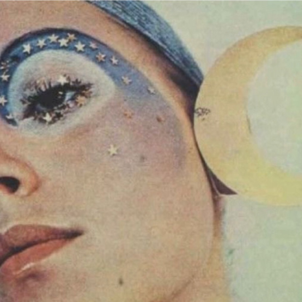 Meet your Posher, Shelby